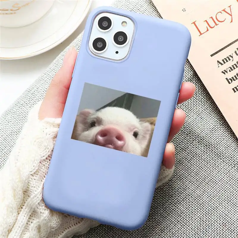 

Cute Little Pink Pet Pig animal Phone Case Candy Color for iPhone 6 7 8 11 12 s mini pro X XS XR MAX Plus
