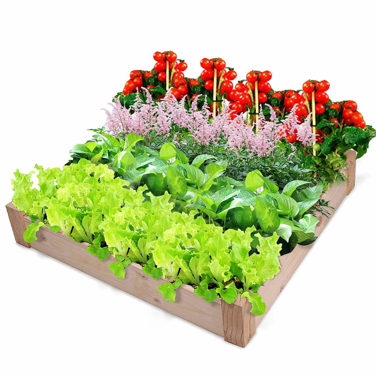 

4X4 Wooden Garden Bed Square Plant Bed Planting Box Nursery Box with Grow Grid Planting Grow Box