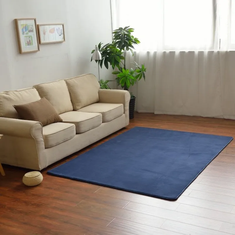 

Summer thin carpet wholesale living room bedroom anti-skid carpet can be customized carpet manufacturers direct a hair