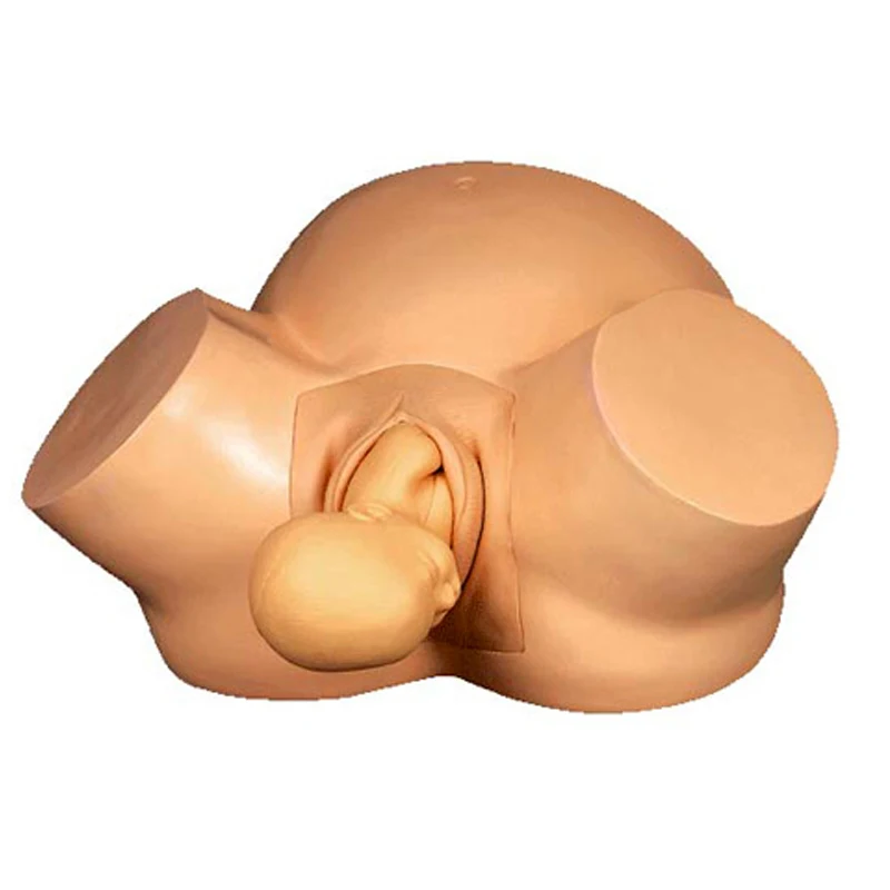 Симулятор обучения акушерству вакуумная доставка демонстрационная модель для