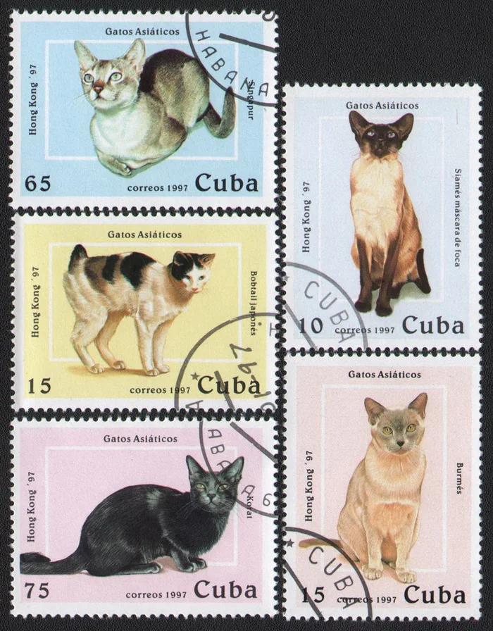 

5 шт./компл. Карибские почтовые марки 1997 для животных и кошек, почтовые марки для коллекционирования