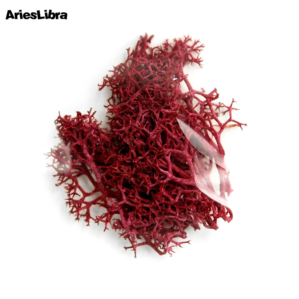 AriesLibra водные растения сохраненные цветы 3D сушеный цветок натуральный Сделай Сам