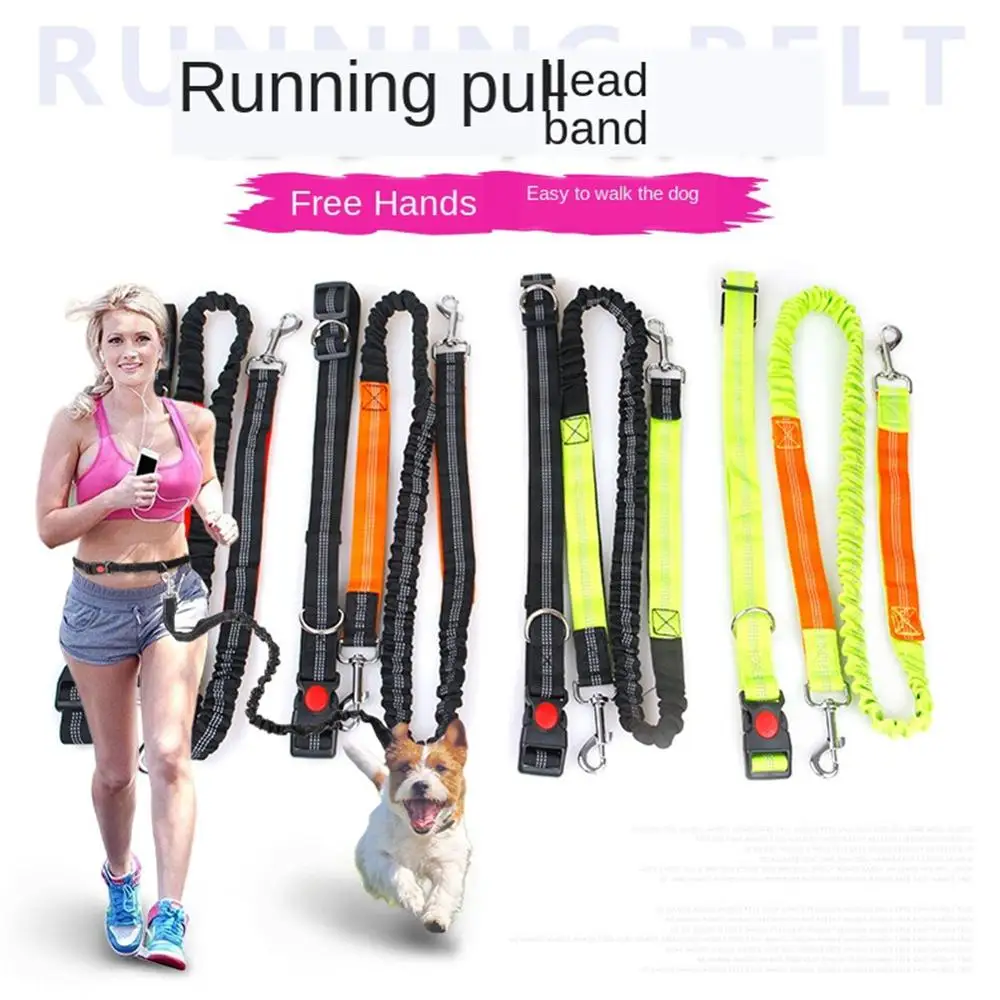 Новый шаблон товары для домашних животных многофункциональный беговой