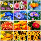 Набор для алмазной живописи Huacan, алмазная вышивка с ромашками, цветами, полными квадратнымикруглыми стразами, Цветочная мозаика, вышивка крестиком, домашний декор