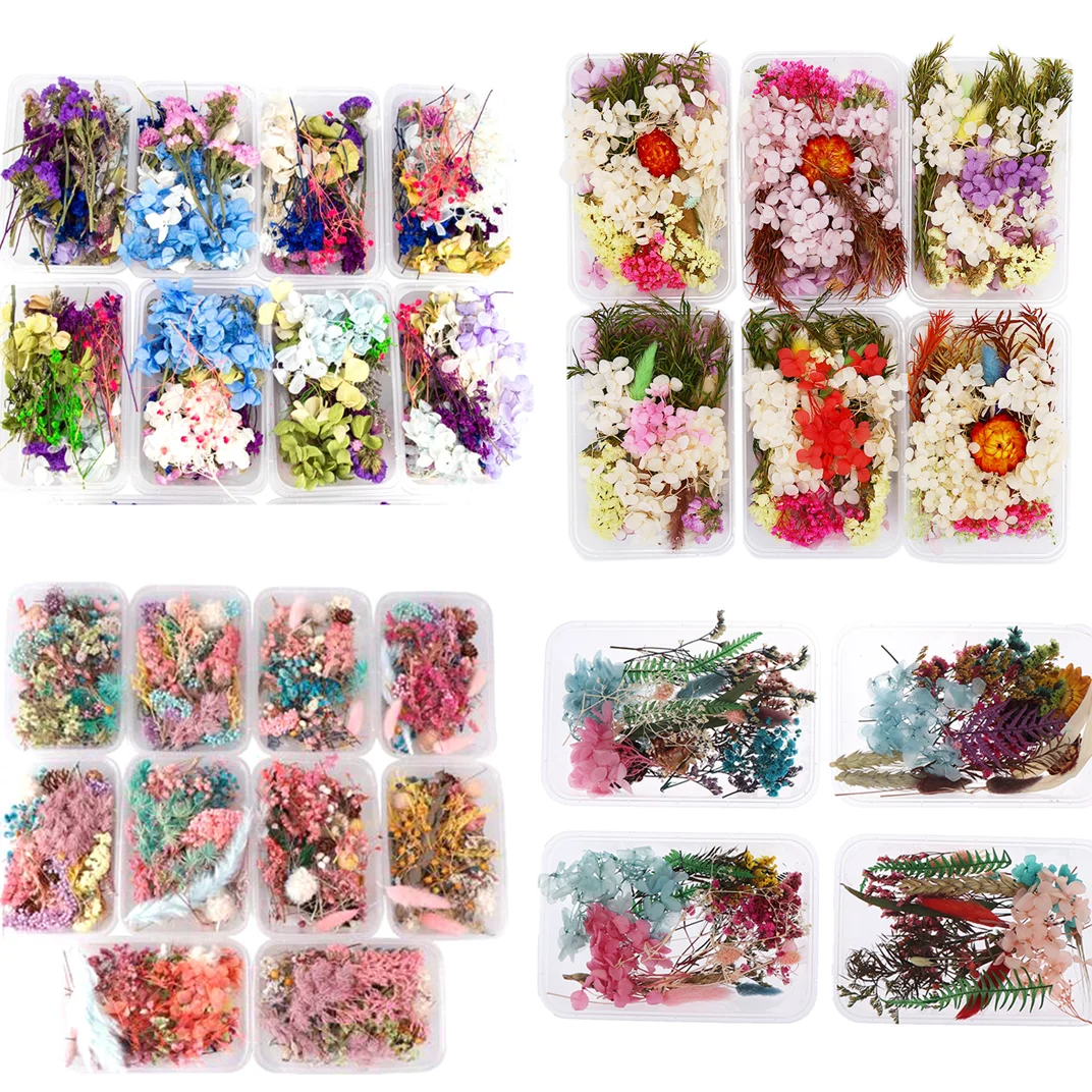 

1 коробка прессованных цветов, маленькие высушенные цветы, сохраненные цветы «сделай сам»