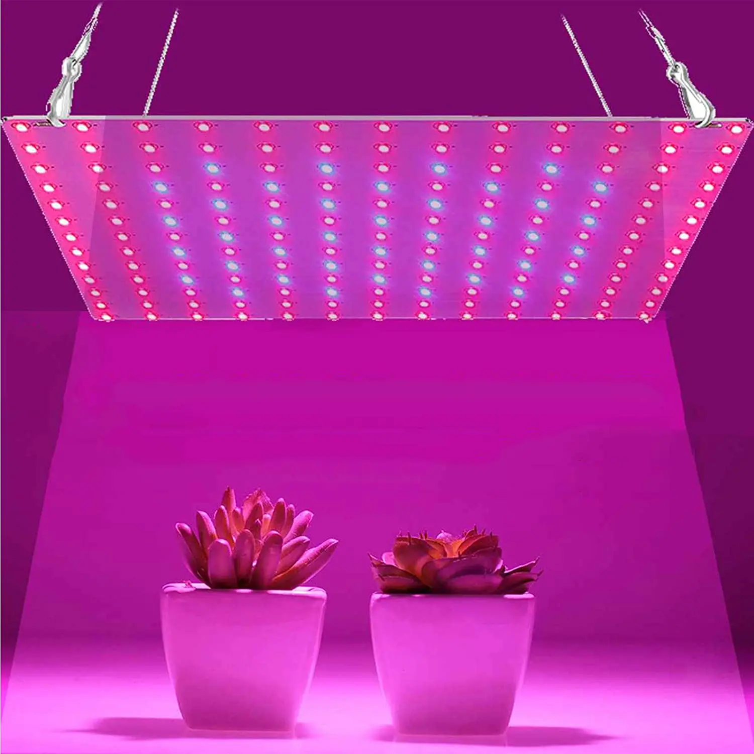 Plant Growing Lamp Red Blue Full Spectrum For Indoor Hydroponic Plant