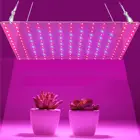 Комнатный светодиодный светильник для выращивания растений, лампа полного спектра для внутренней гидропонной установки красного и синего цветов, 81169 светодиодов, s, 2000 Вт, 3000 Вт