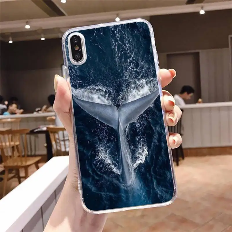 

Marine life animal Killer Whale Orca Phone Case Transparent soft For iphone 5 5s 5c se 6 6s 7 8 11 12 plus mini x xs xr pro max