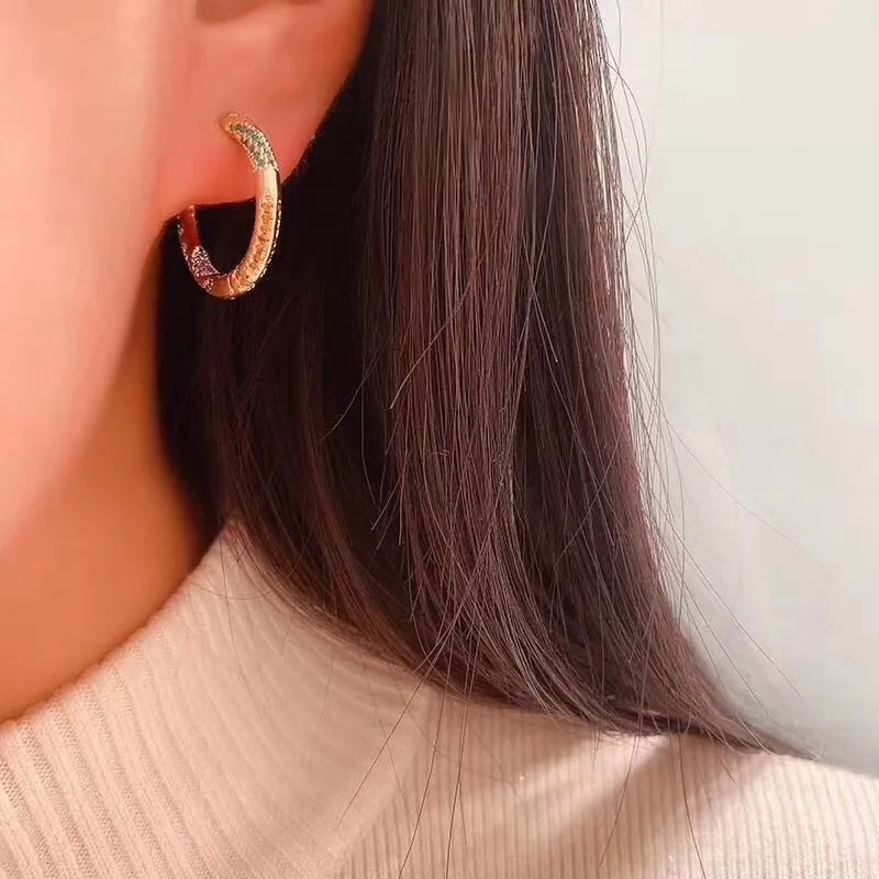 AccKing известного дизайнерского бренда круговой красочные серьги геометрической