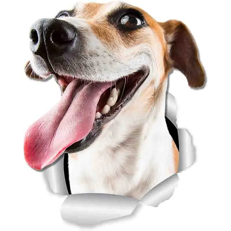 Три Ratels FTC 1043 3D счастливый Джек Рассел наклейки на стену собаки Стикеры для