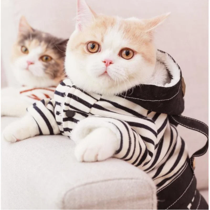 HOOPET Теплая зимняя одежда для кошек бульдогов пальто большой размер четыре фута