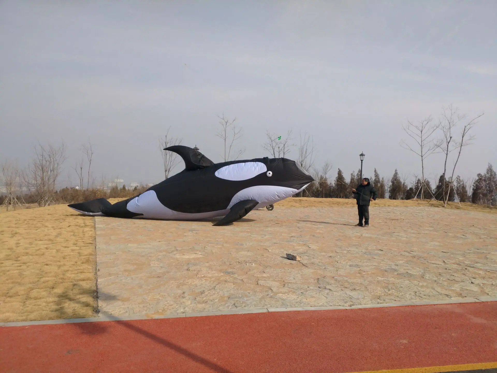 10M Inflatable Orca kite from kaixuan factory | Игрушки и хобби
