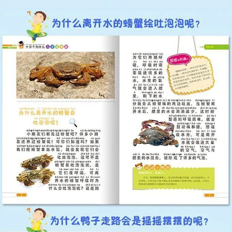 Рисунок 3 - Книга детская «100