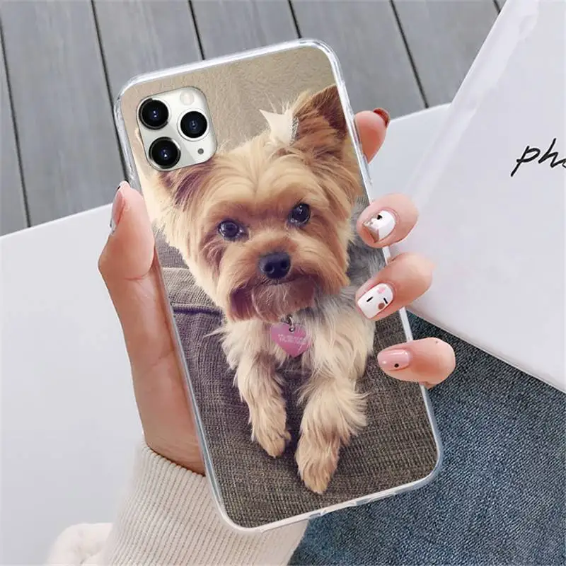 

Mini Yorkshire Terrier Dog Phone Cases For iphone 12 5 5s 5c se 6 6s 7 8 plus x xs xr 11 pro max mini