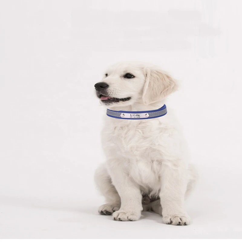 

Ошейник для собак, регулируемый, светоотражающий, с гравировкой, для маленьких, средних и крупных собак