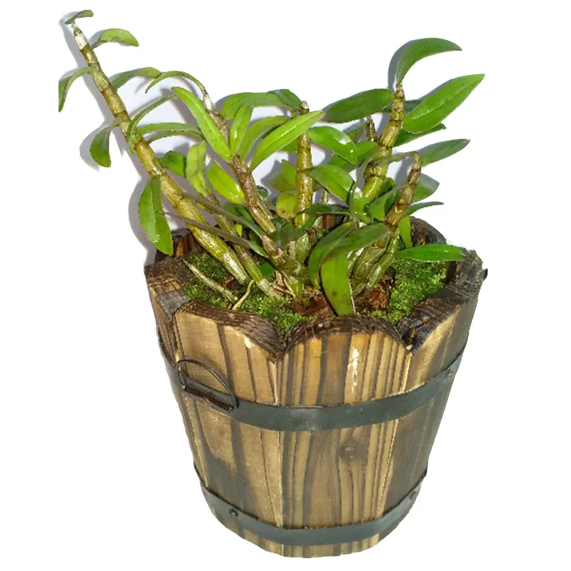 Цветочный горшок из массива дерева для выращивания овощей на балконе|Цветочные