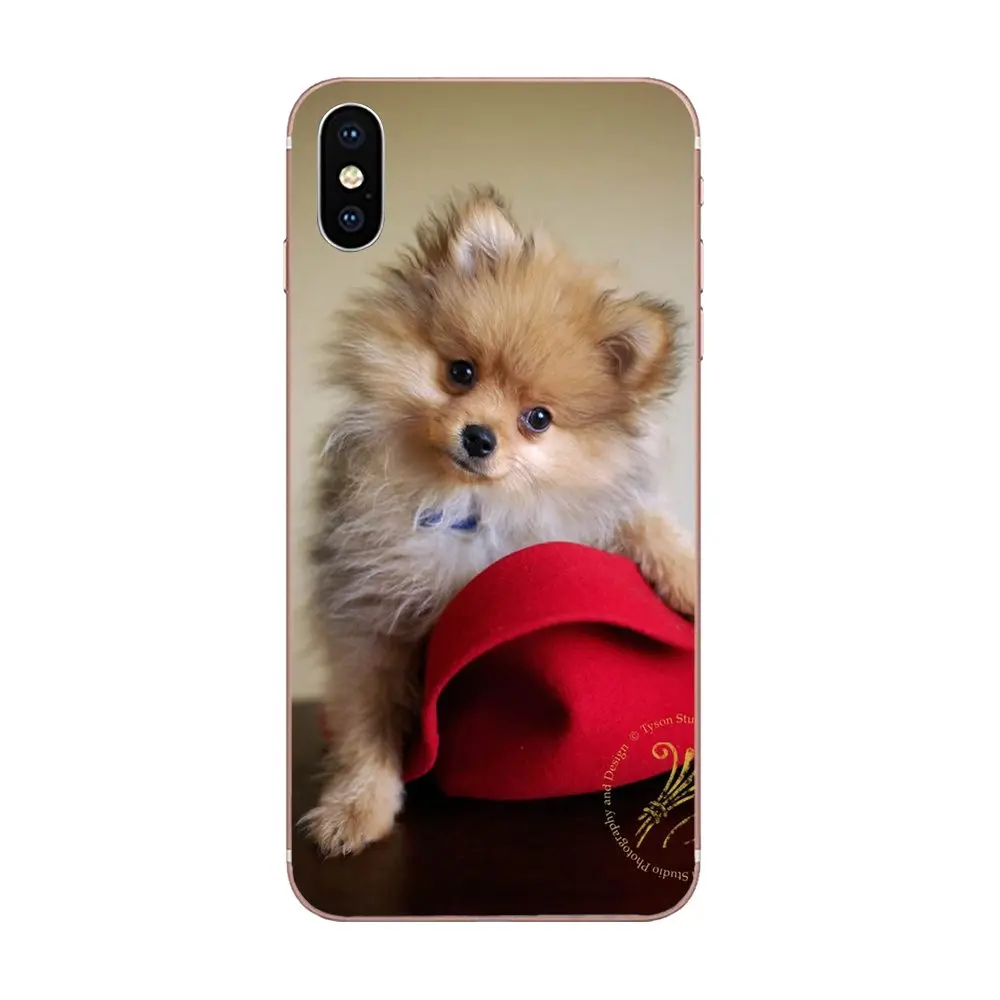 Pomeranian Puppy Dog 11 для Samsung Galaxy J1 J3 J4 J5 J6 J7 A10 A20 A20E A3 A40 A5 A50 A7 2016 2017 2018 мягкая новая мода |