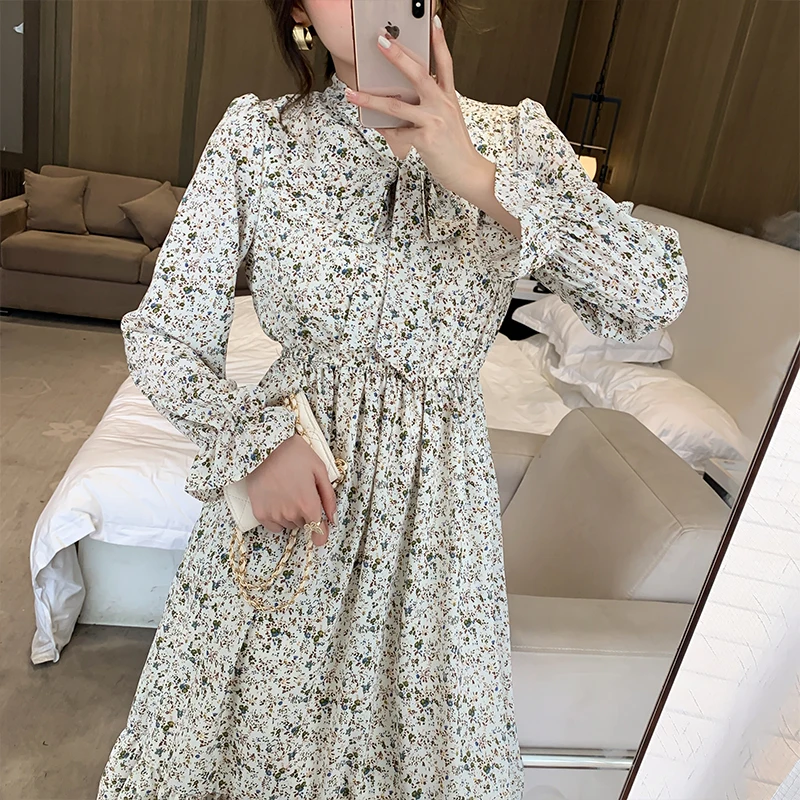 

Women's Long Dress 2020 Spring Autumn Vintage Floral Pleated Chiffon Dress Long sleeve Plus Size Dresses Vestidos With Lining