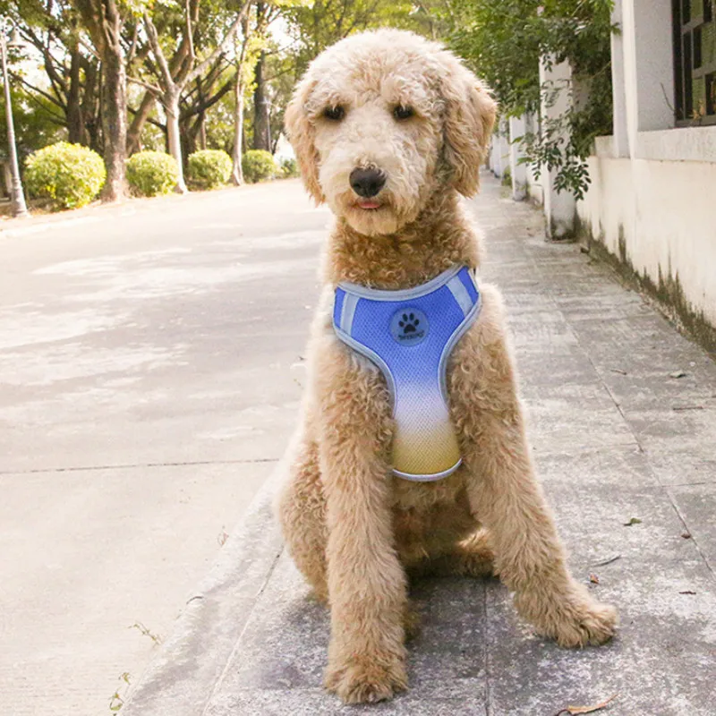 Товары для домашних питомцев жилет собаки нагрудный с градиентом