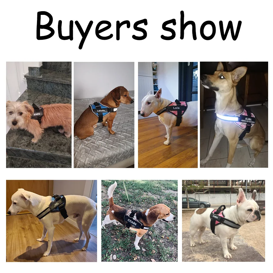 Поводок для собак светоотражающий дышащий регулируемая шлейка питомцев жилет ID