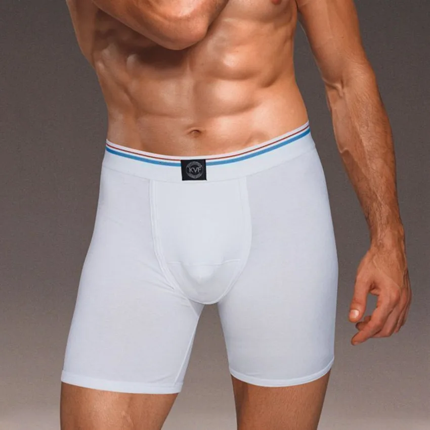5pcs/lot men's fashion lycra cotton shorts boxer mens underwear innerwear boxers men boxers underwear