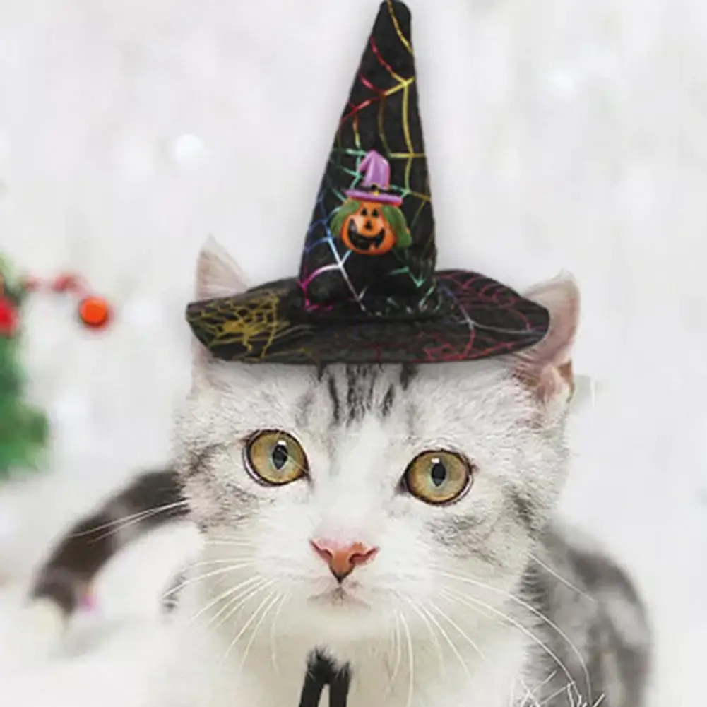 Хэллоуин для домашней собаки кошки летучая мышь Сова Тыква Печать шапка Забавный