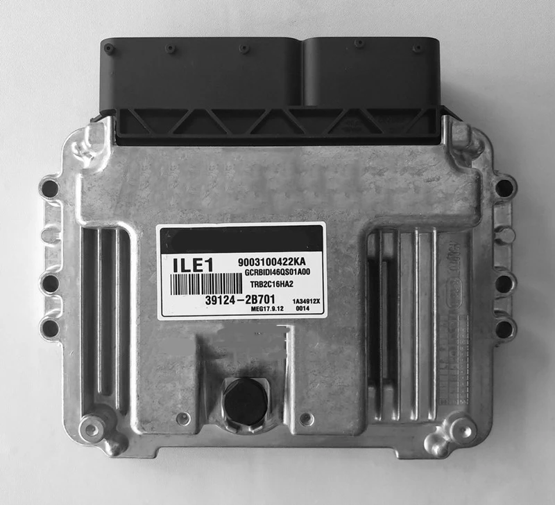 

Engine computer board 39124-2B701 FOR Hyundai Rena Yuedong