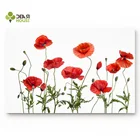 Dear House красный кукурузный Поппи коврик для ванной комнаты Снаружи Водонепроницаемый скребок для обуви коврик для входной двери дома