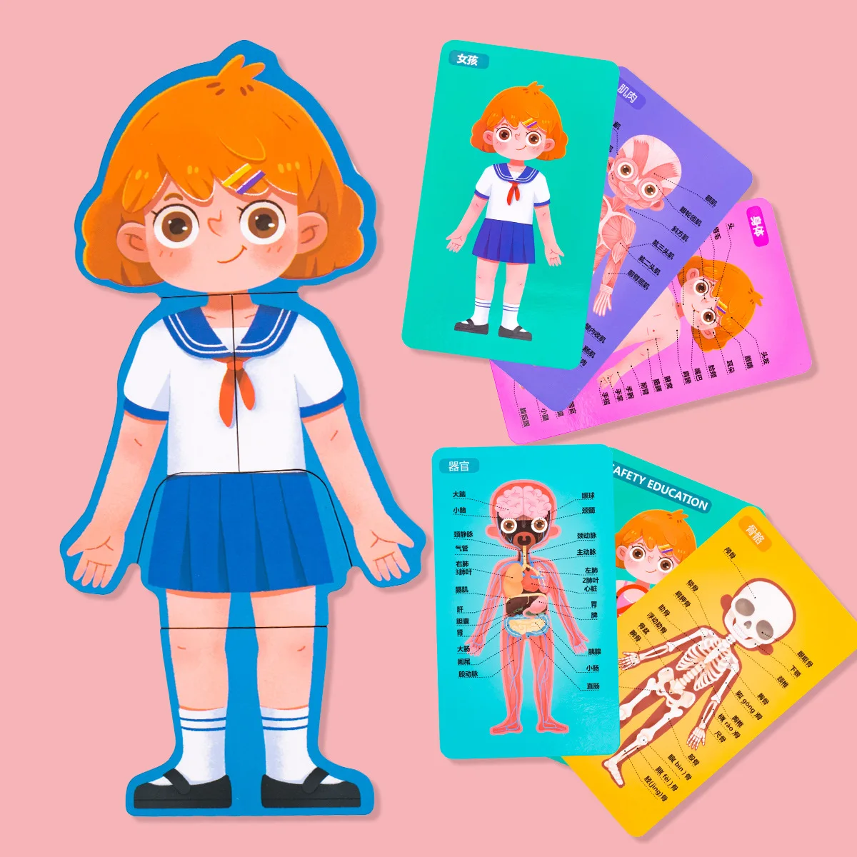 Конструкция тела 3D пазл человеческий когнитивный Детская безопасность