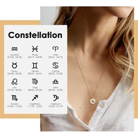 visunion 316l stainless steel necklace custom minimalist multi layered twelve constellations pendant necklace