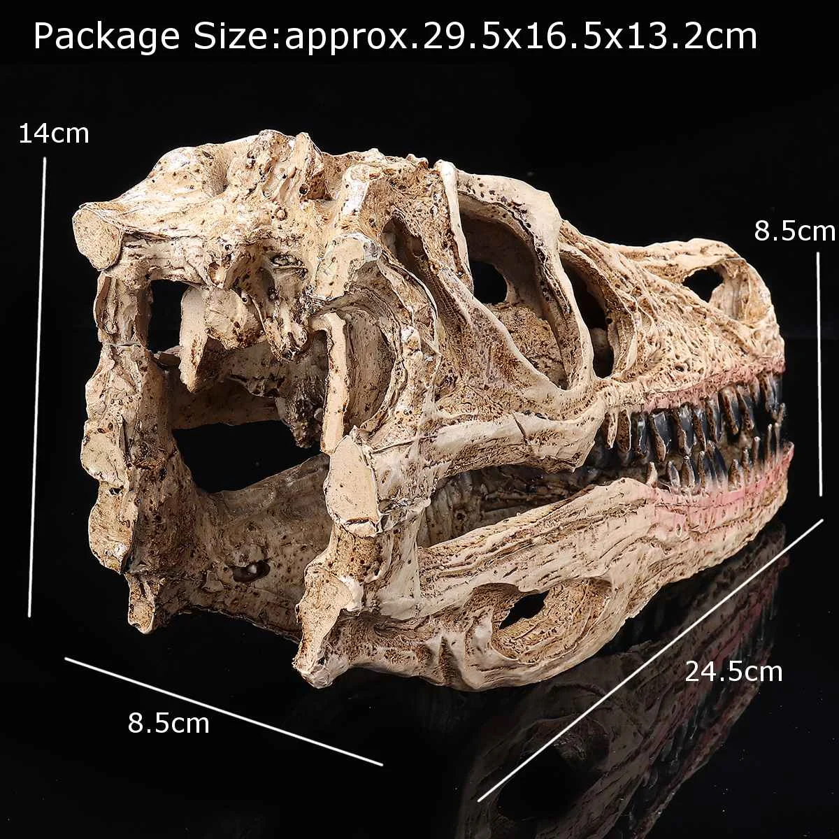 

1:10 Retro Velociraptor Dinosaur Resin Skull Head Model Statue Craft Collection Medical Science School Educational Supply
