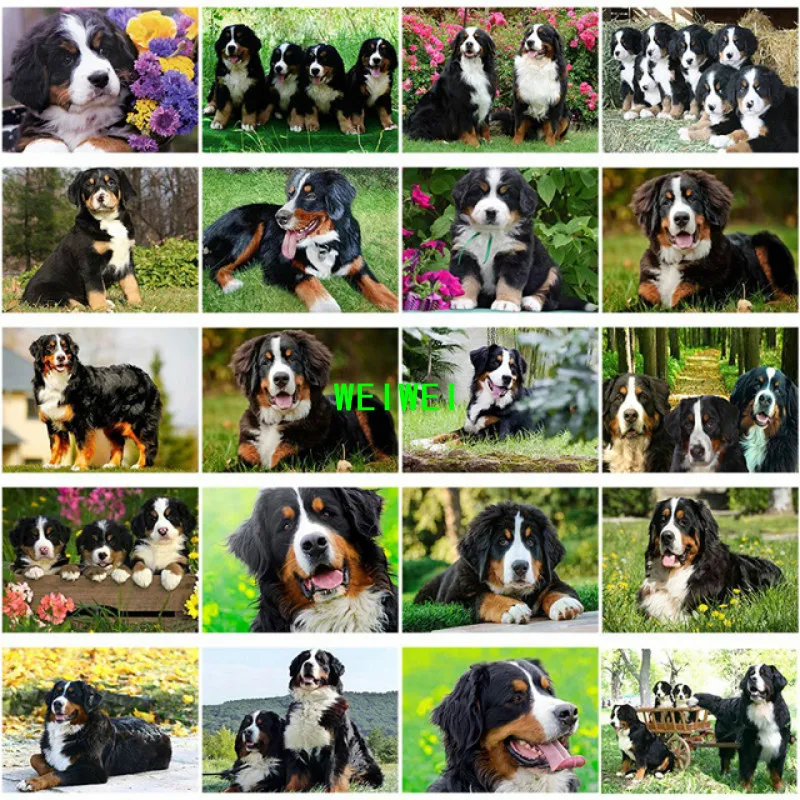 

Diamond Painting Dog DIY 5D Diamond Embroidery Bernese Mountain Dogs Cross Stitch Animal Full Round Drill Mosaic Art weiwei