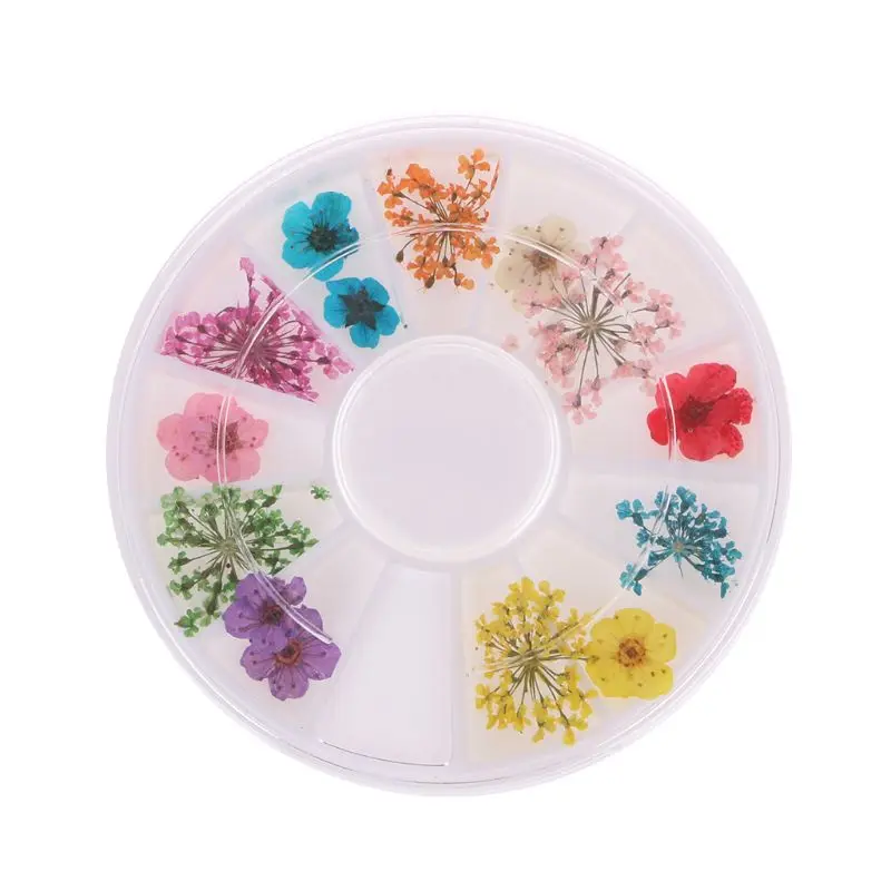 

Real Nail Dried Flowers Nail Art Decoration DIY Tips Case Small Flowers Nails