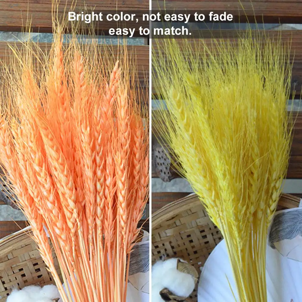 50 шт./лот засушенный натуральный пшеничный карниз сухая трава украшение букетов