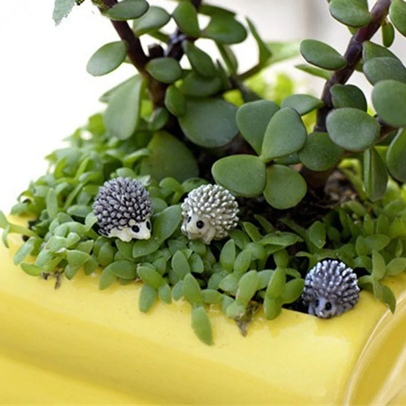 

s 6pcs Hot Mini Miniature Animal Small Hedgehog Micro Landscape Dollhouse Resin DIY Garden Ornament Random Color