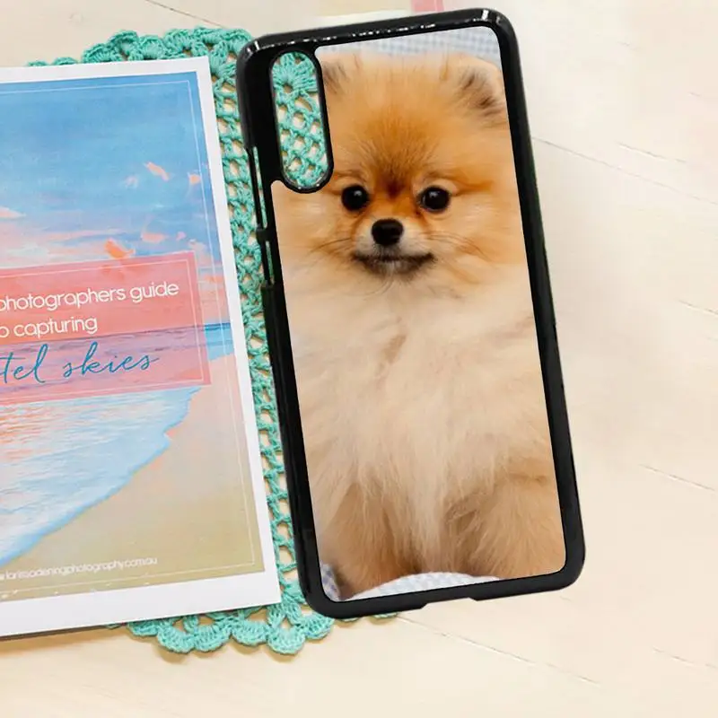 

Pomeranian dog cute animal Phone Cases PC for iPhone 11 12 pro XS MAX 8 7 6 6S Plus X 5S SE 2020 XR