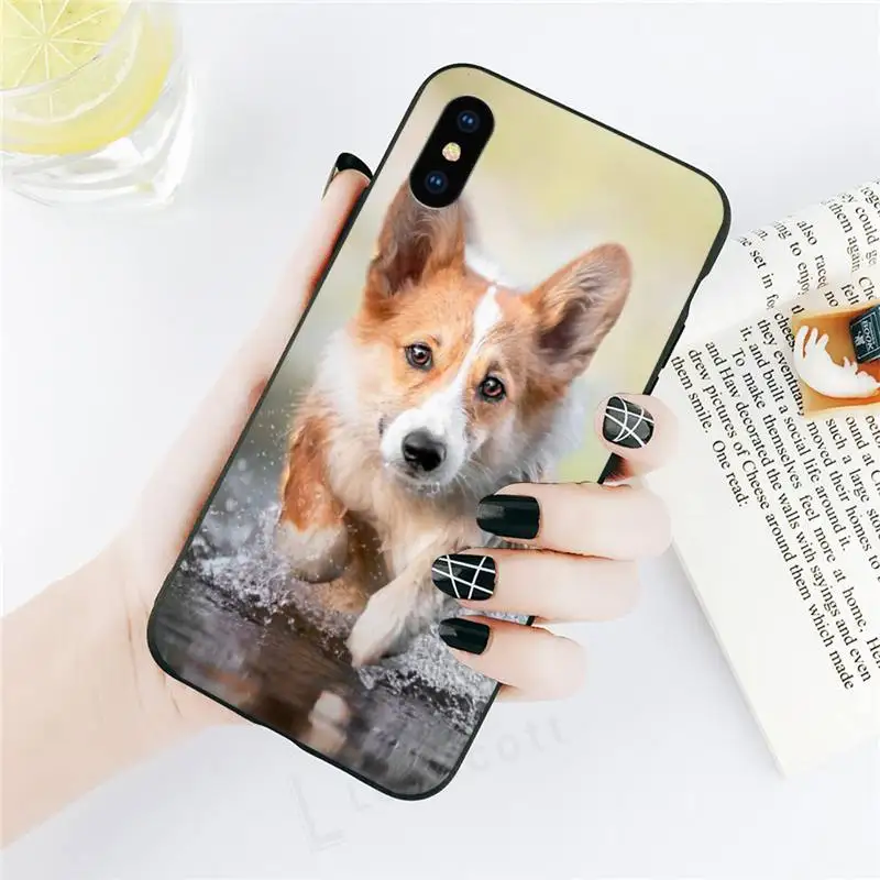 

Corgi cute and funny animals Phone Case for iPhone 11 12 pro XS MAX 8 7 6 6S Plus X 5S SE 2020 XR
