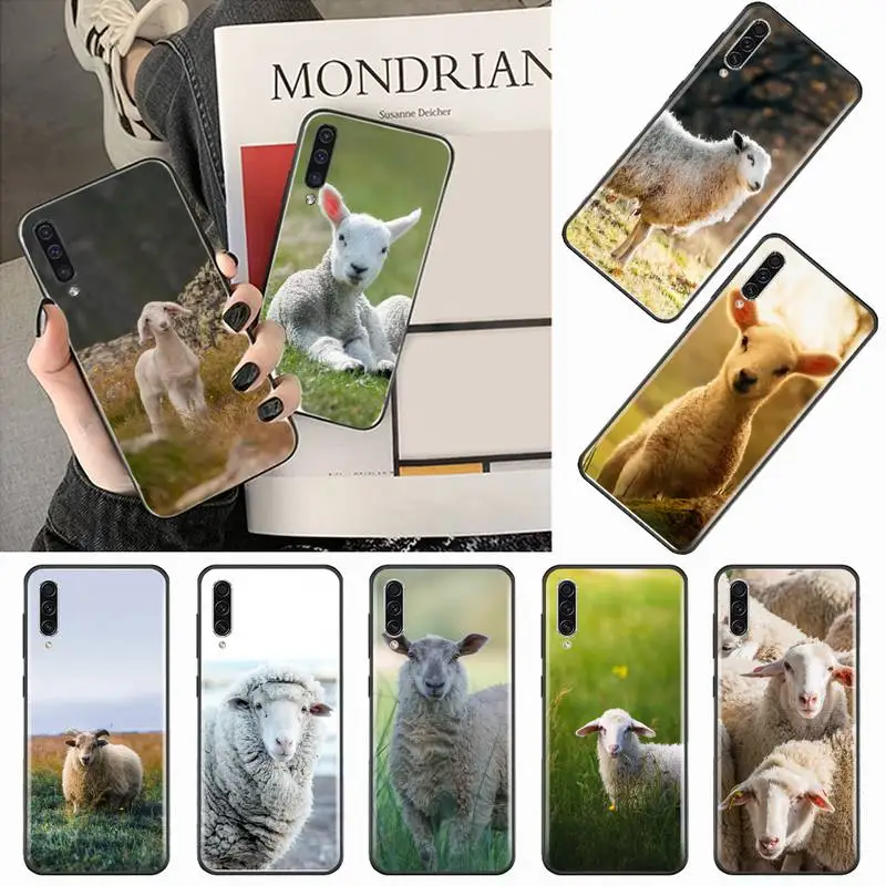 

Cute sheep animal Phone Case For Samsung galaxy A S note 10 7 8 9 20 30 31 40 50 51 70 71 21 s ultra plus