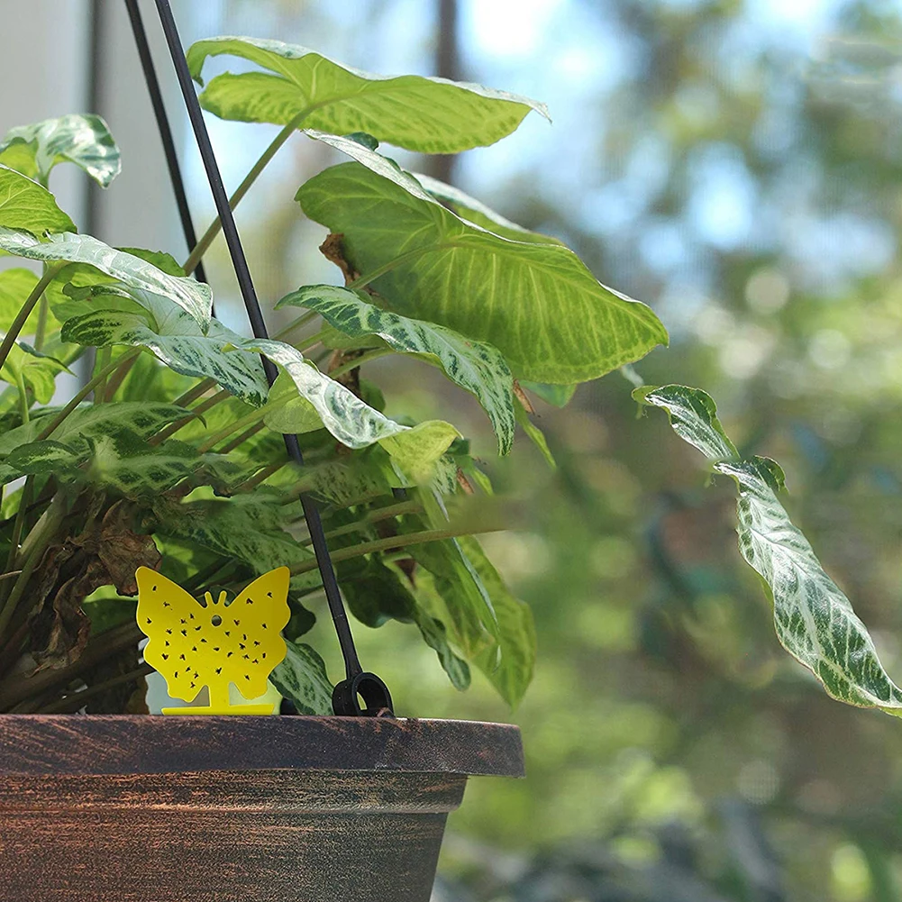 5 шт. двухсторонний клей для наклеек клейкие ловушки желтая клейкая ловушка