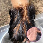 13x4 HD кружевная фронтальная недетектируемая 5x5 Прозрачная Кружевная застежка предварительно выщипанная линия волос глубокие волнистые человеческие волосы прекрасно расплавляют кожу