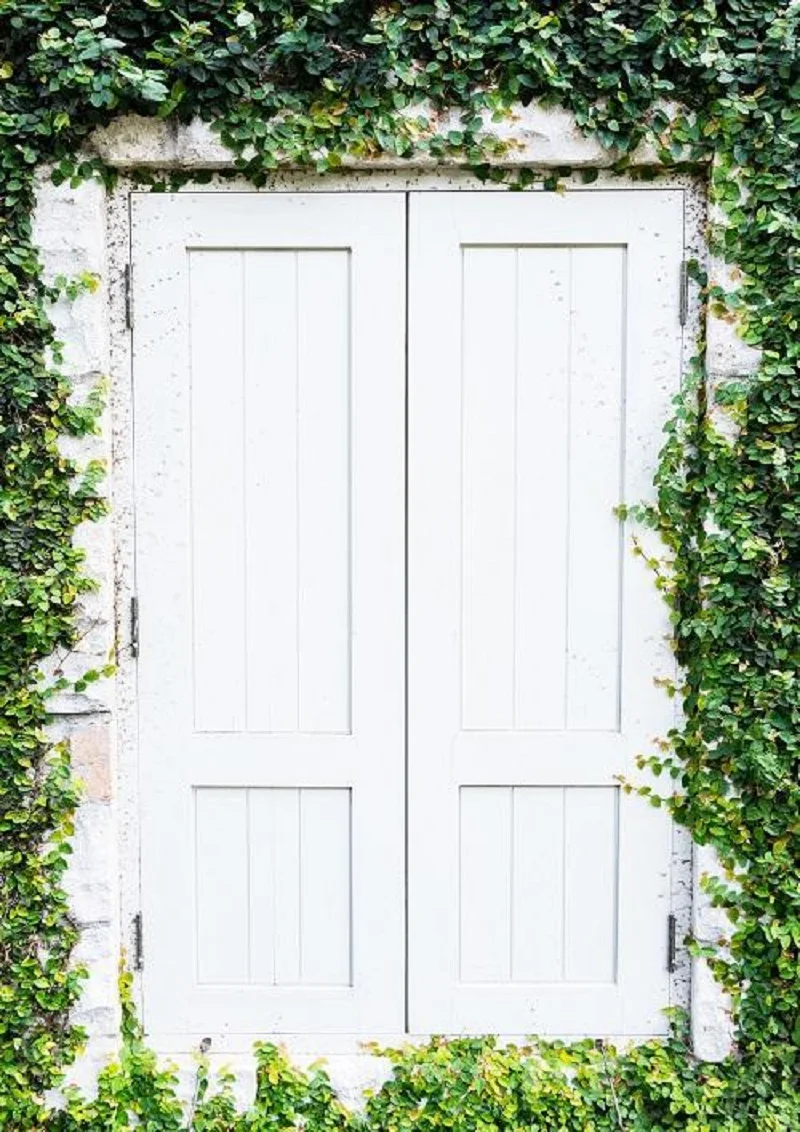 

White Door With Green Leaves Backdrop Vinyl Background Cloth Family Portrait Party Photo Props