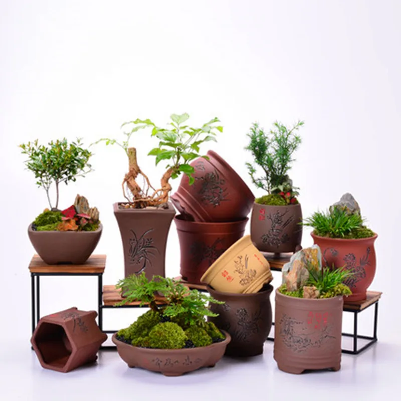 Новый Популярный суккулент маленький цветочный горшок Ручная роспись