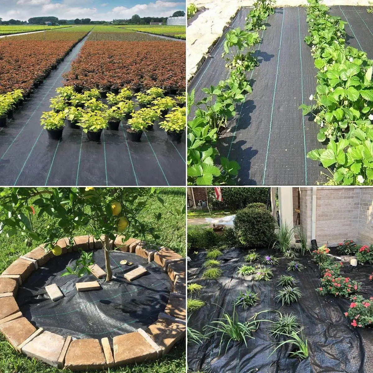 

Barrier Fabric Agriculture Greenhouse Garden Control Orchard Landscape Plant Weeding Ground Cloth Cover PE Braiding