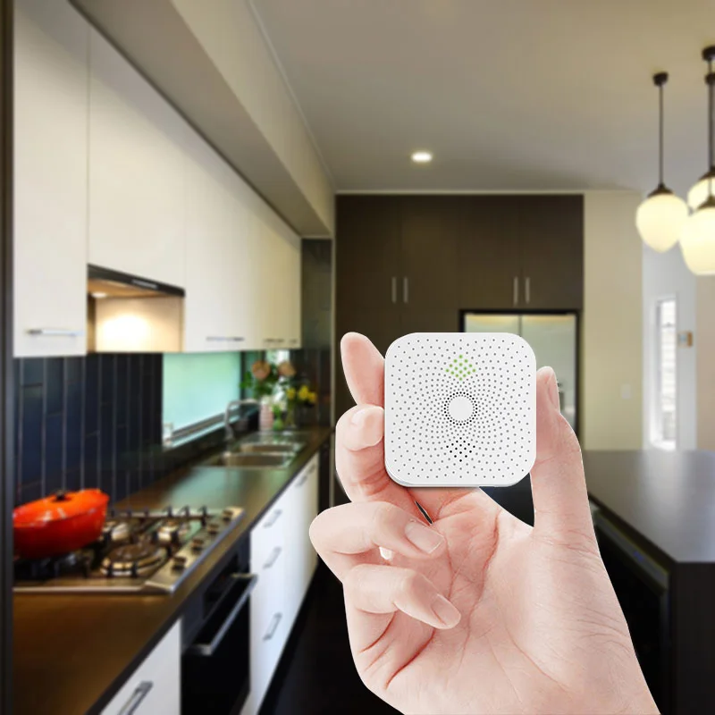 

Smart Home Methane Combustible Alarm 70dB Gas Detector Plug-in Gas Home Security With Accurate Sensor CE Approved for Gift