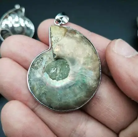 Красивый натуральный камень окаменелости аммонита морская раковина подвеска