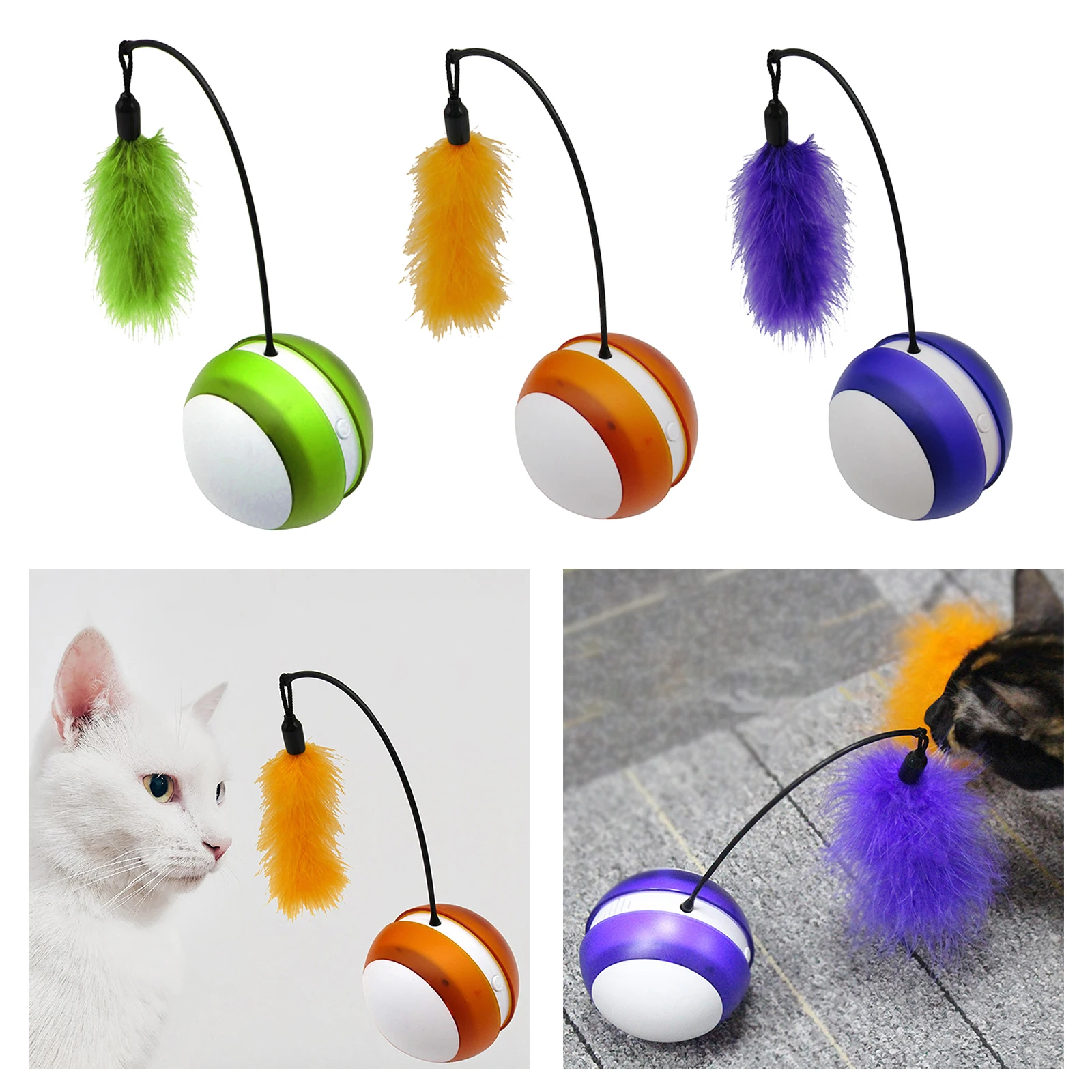 

Pet Products