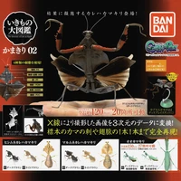 bandai genuine biographical book mantis series gashapon toys 6 type simulation insect model assembled action figure model toys