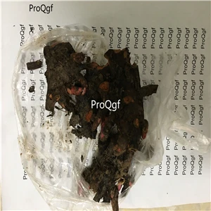 root Ngryise 15 шт. в наборе пион - Цвет: root