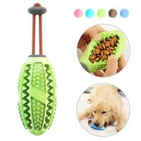 interactive dog toy food dispenser ball dog chew toys dog toothbrush pet molar tooth cleaning supplies doggy puppy dental care