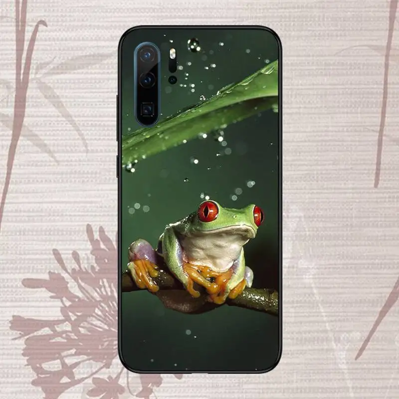 

Tree frog Phone Case For Huawei P20 P30 P40 lite Pro P Smart 2019 Mate 10 20 Lite Pro Nova 5t